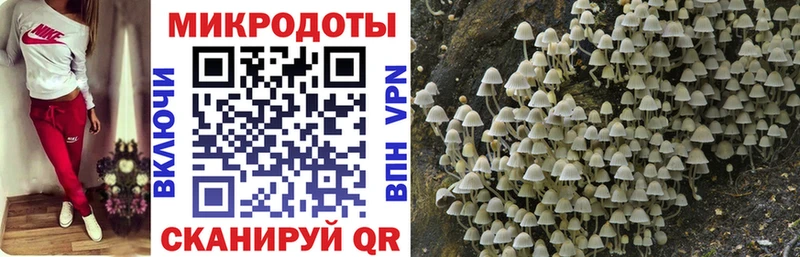 Галлюциногенные грибы MAGIC MUSHROOMS  Сураж 